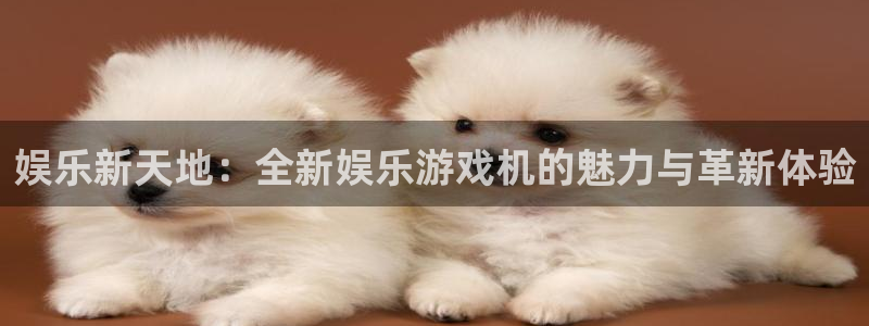 红足1世足球官网入口