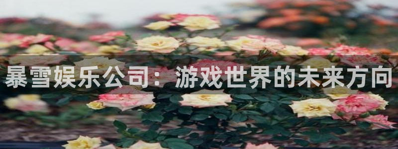 红足1世66814手机