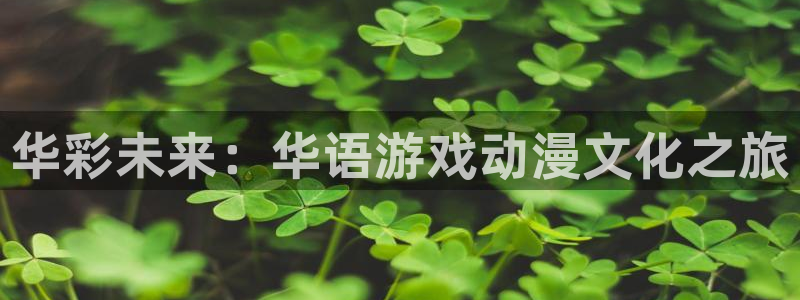 红足1世足球网页版入口