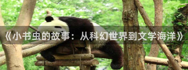 红足1世足球网页版入口